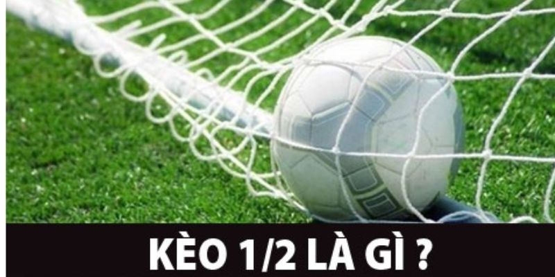 Kèo 1/2 - Nắm vững tỷ lệ kèo để nâng cao cơ hội chiến thắng. 3 kèo 1/2.