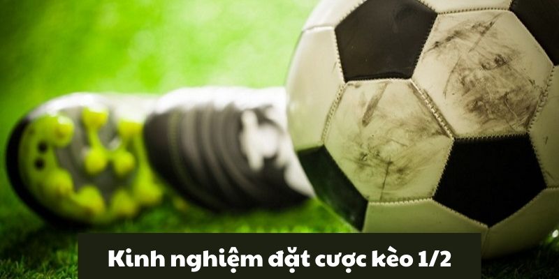 Kèo 1/2 - Nắm vững tỷ lệ kèo để nâng cao cơ hội chiến thắng. 4 Kinh nghiệm quý giá để đạt chiến thắng khi đặt cược kèo ½1/2