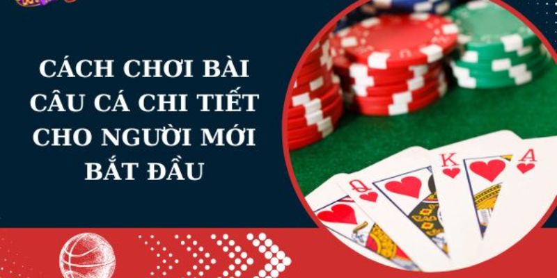 Khám phá cách chơi bài câu cá để giành chiến thắng ấn tượng 2 Hướng dẫn đơn giản cho người mới chơi bài câu cá.