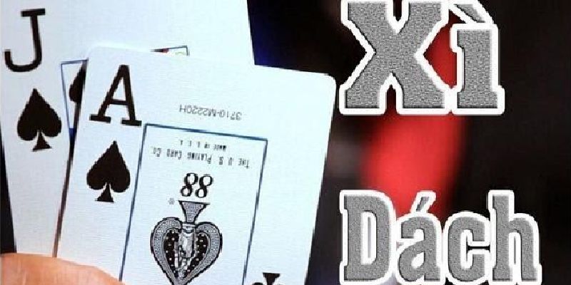 Cách chơi bài xì dách - Luật lệ và mẹo giành chiến thắng 1 Cách chơi bài xì dách - Luật lệ và mẹo giành chiến thắng