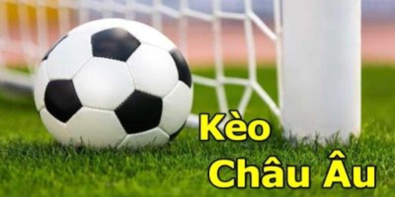 Kèo Châu Âu – Cơ Hội Đầu Tư Hấp Dẫn Trong Thế Giới Bóng Đá 2 Hướng Dẫn Đọc Kèo Châu Âu Cho Người Mới
