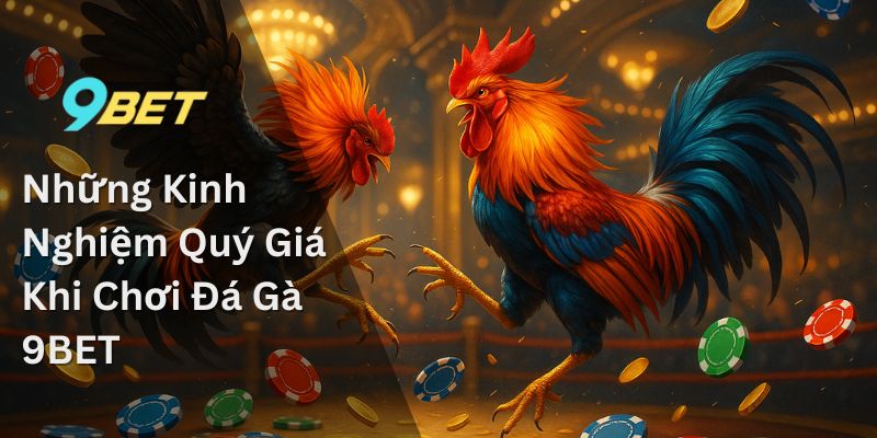 Đá Gà 9bet – Chiêm Ngưỡng Sự Tinh Hoa Của Những Chiến Kê 2 Những Kinh Nghiệm Quý Giá Khi Chơi Đá Gà 9BET