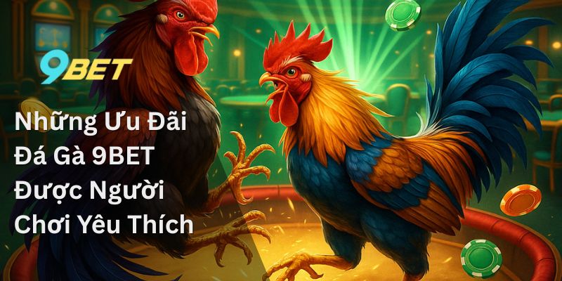 Đá Gà 9bet – Chiêm Ngưỡng Sự Tinh Hoa Của Những Chiến Kê 3 Những Ưu Đãi Đá Gà 9BET Được Người Chơi Yêu Thích