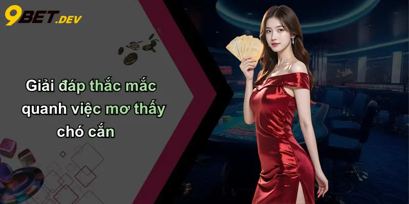 Mơ Thấy Chó Cắn: Điềm Gì, Số Đánh Đề Và Phân Tích Từ 9bet 5 Giải đáp thắc mắc quanh việc mơ thấy chó cắn