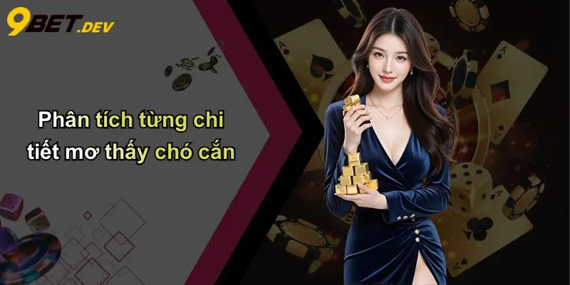 Mơ Thấy Chó Cắn: Điềm Gì, Số Đánh Đề Và Phân Tích Từ 9bet 2 Phân tích từng chi tiết mơ thấy chó cắn
